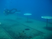 Limassol Wrecks - Lady Thetis