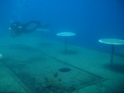 Limassol Wrecks - Lady Thetis